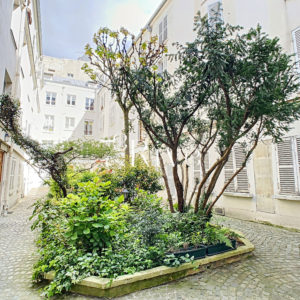 M° JUSSIEU - PARIS 5 - Rue des Fossés Saint Bernard